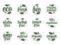 Gluten, lactose, sugar, Gmo free, bio, eco, fresh calligraphic handwriting lettering with leaf, cube, drop. Vector white vintage