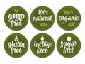 Gluten, lactose, sugar, gmo free lettering. Sign 100 natural organic food Royalty Free Stock Photo