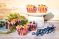 Glutenfree almond flour blueberry muffins on white plate and wooden background