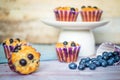 Glutenfree almond flour blueberry muffins on white plate and wooden background Royalty Free Stock Photo