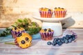 Glutenfree almond flour blueberry muffins on white plate and wooden background Royalty Free Stock Photo