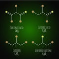 Glycerol, gliceric acid, tartonic acid structural chemical schemes and formulas. Vector illustration