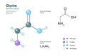 Glycine. Gly C2H5NO2. ÃÂ±-Amino Acid. Structural Chemical Formula and Molecule 3d Model. Atoms with Color Coding. Vector