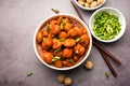 Glycine max Chunks or Soya Chunk Manchurian dry or with Gravy Royalty Free Stock Photo