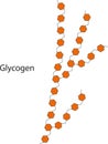 Glycogen