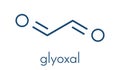 Glyoxal dialdehyde molecule. Present in fermented food and beverages. Many applications in chemical industry. Skeletal formula.