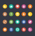Glyphs Colored Vector Icons 25
