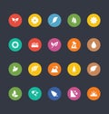 Glyphs Colored Vector Icons 50