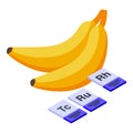 Gmo bananas icon, isometric style