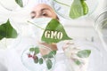 Gmo Royalty Free Stock Photo