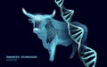 GMO bull gene modified meat. Science chemistry biology genetics engineering innovation organic eco food technology 3D