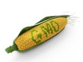 GMO corn Royalty Free Stock Photo