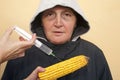 GMO corn Royalty Free Stock Photo