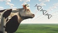 GMO Cow Question