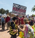 GMO Crops kills bees!