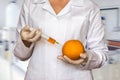 GMO experiment: Scientist injecting liquid into grapefruit in ag