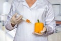 GMO experiment: Scientist injecting liquid from syringe into pep Royalty Free Stock Photo