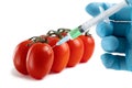 GMO food and chemicals in vegetables concept. Hand in a glove makes an injection with a syringe with a solution of ripe