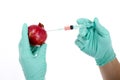 GMO food genetically modified fruit