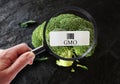 GMO food label Royalty Free Stock Photo
