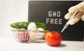 GMO free food. Organic products. Hand with Syringe Royalty Free Stock Photo