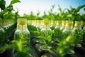 GMO Food Growing in Bottles. AI Generated