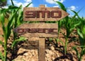 GMO and Organic Sign on a Corn Field Royalty Free Stock Photo