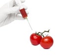 Gmo product concept: Tomato injection Royalty Free Stock Photo