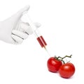 Gmo product concept: Tomato injection Royalty Free Stock Photo