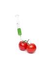 Gmo product concept: Tomato injection Royalty Free Stock Photo