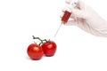 Gmo product concept: Tomato injection Royalty Free Stock Photo