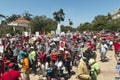 GMO protest in San Diego, California.