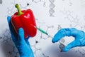 GMO Scientist Injecting Green Liquid from Syringe into Red Pepper - Genetically Modified Food Concept. Royalty Free Stock Photo