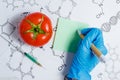 GMO Scientist Make Note, Green Liquid in Syringe,Red Tomato - Genetically Modified Food Concept. Royalty Free Stock Photo