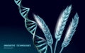 GMO wheat gene modified plant. Science chemistry biology genetics engineering innovation organic eco food technology 3D