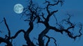 The gnarled branches of a barren tree reach out towards the moon silhouetted against the night sky in a hauntingly