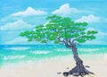 Gnarled Japanese Juniper tree on sandy beach by ocean Royalty Free Stock Photo