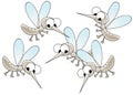 Gnats Royalty Free Stock Photo