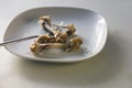 Gnawed chicken bones