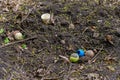 Gnawed little balls on a pet cemetery grave. Favorite pet toys, selective focus. Background with copy space