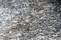 Gneiss metamorphic rock surface Royalty Free Stock Photo