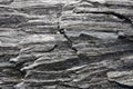 Gneiss rock Royalty Free Stock Photo