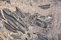 Gneiss Rock Background Texture Royalty Free Stock Photo