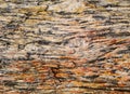 Gneiss rock - colorful graphic pattern or background Royalty Free Stock Photo