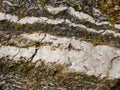 Gneiss rock - background or pattern Royalty Free Stock Photo