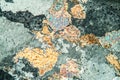 Gneiss rock under the microscope