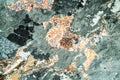 Gneiss rock under the microscope