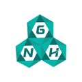 GNH creative minimalist letter logo. GNH unique vector initials alphabet letter logo Royalty Free Stock Photo