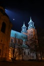 Gniezno Cathedral at night.