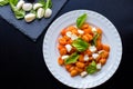 Gnocchi alla Sorrentina in tomato sauce with green fresh basil and mozzarella balls served on a plate